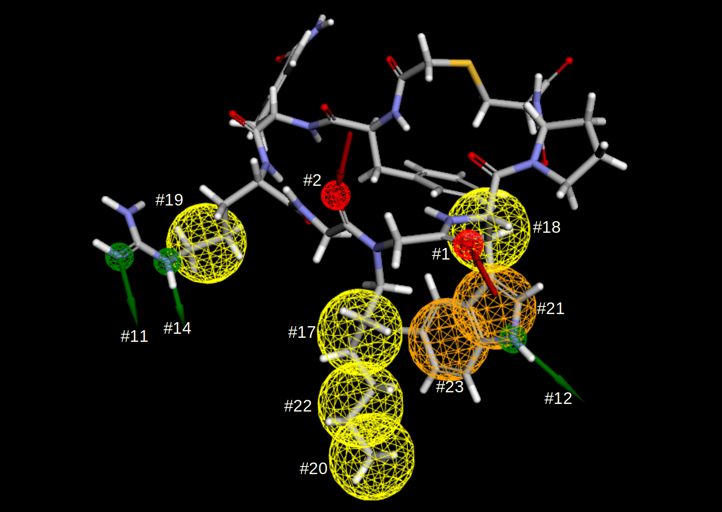 PDB 7WMC揭示大环肽的抑制剂与蛋白相互作用的药效团