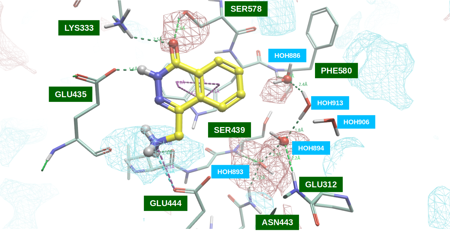 PRMT5•MTA与F1（PDB 7S0U）共晶结构的结合位点的PIP分析