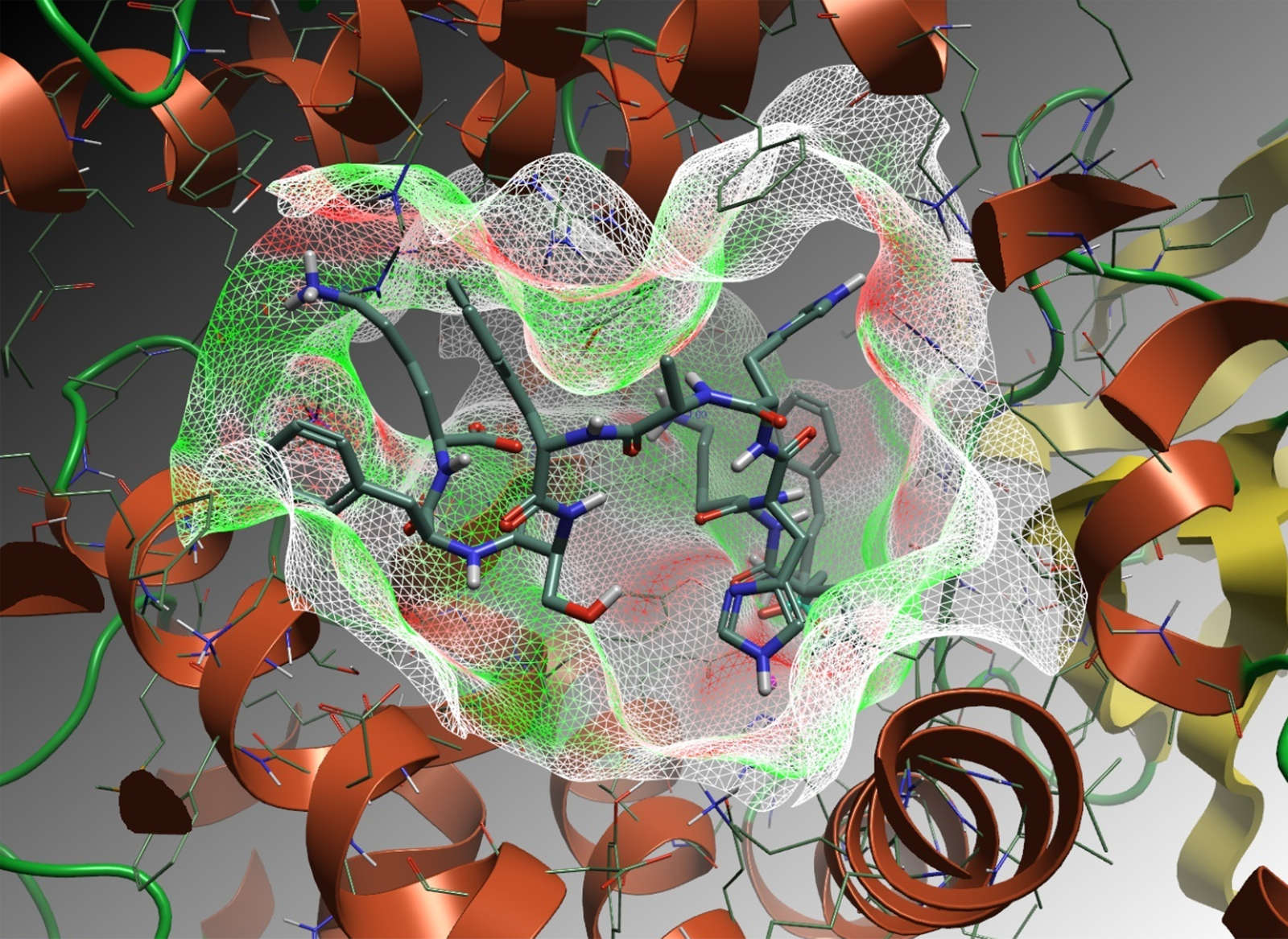 DG025过渡态类似物与IRAP的共晶结构（PDB: 4Z7I）