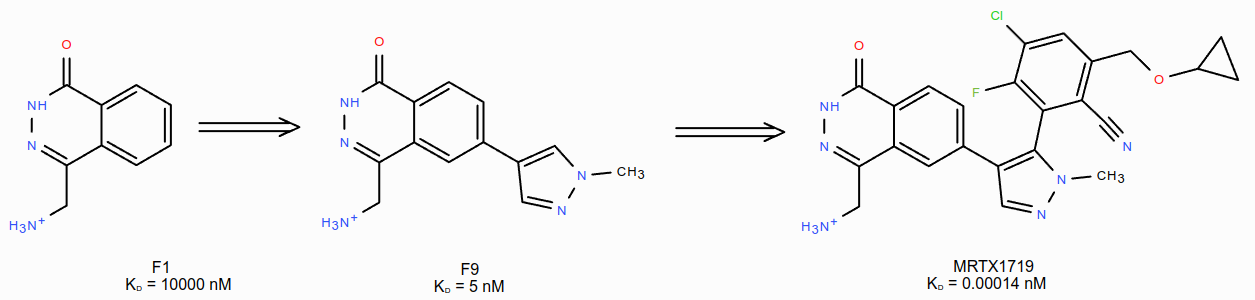 FBDD for MRTX1719 