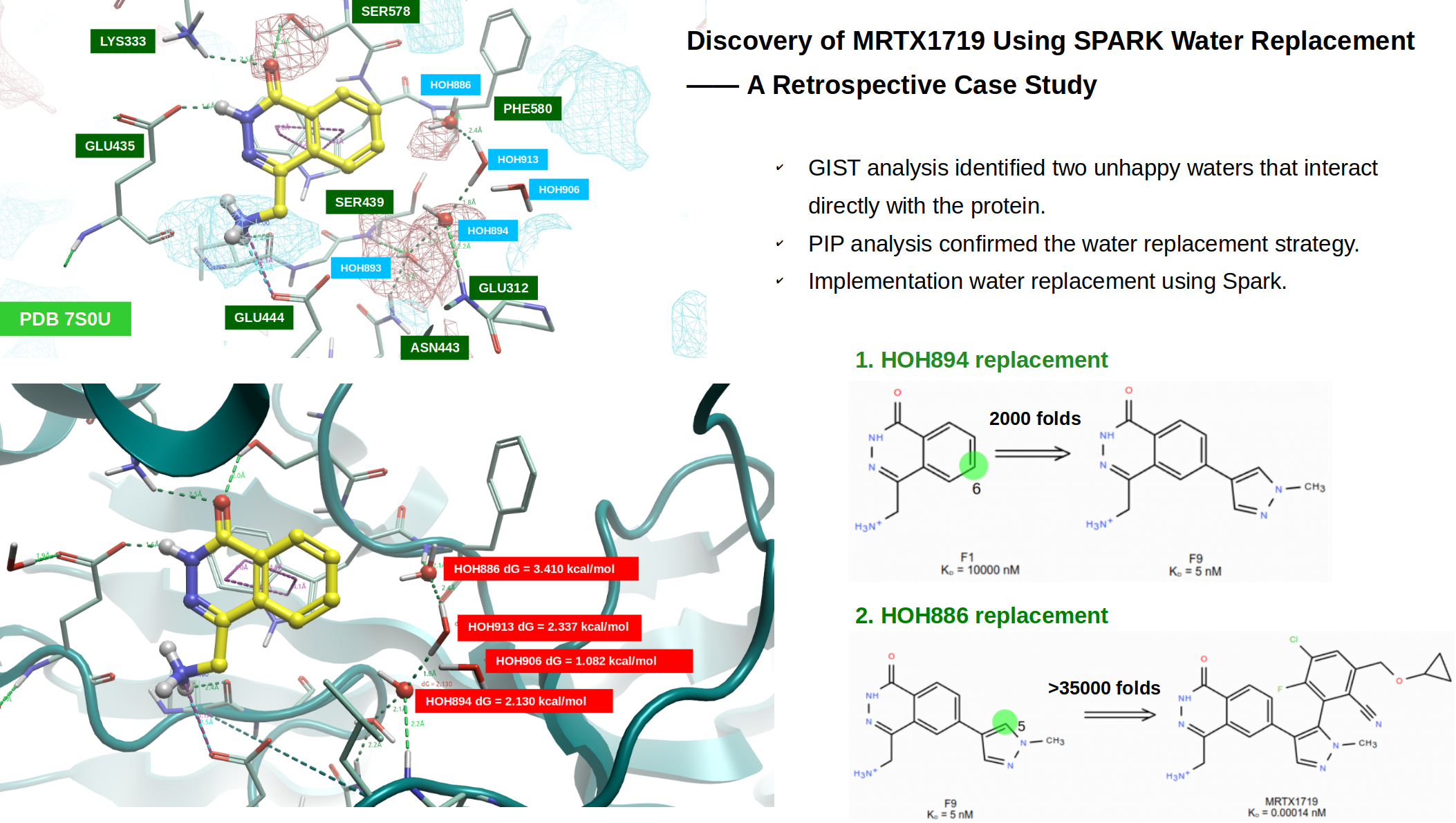 MRTX1719的水分子替换