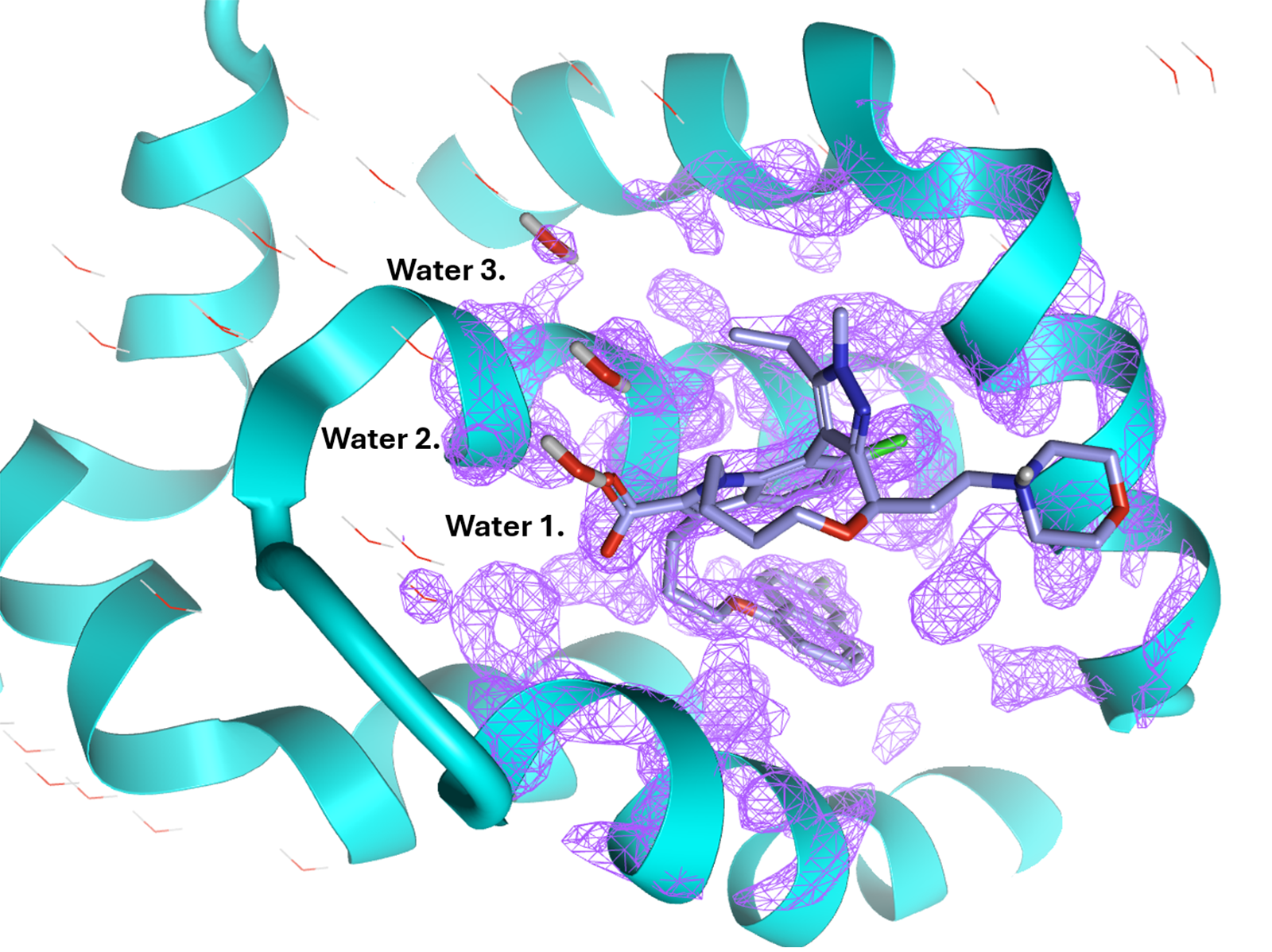 PDB 8T6F的可视化分析