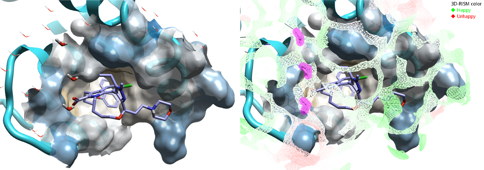 PDB 8T6F原始晶体水 VS 3D-RISM模型