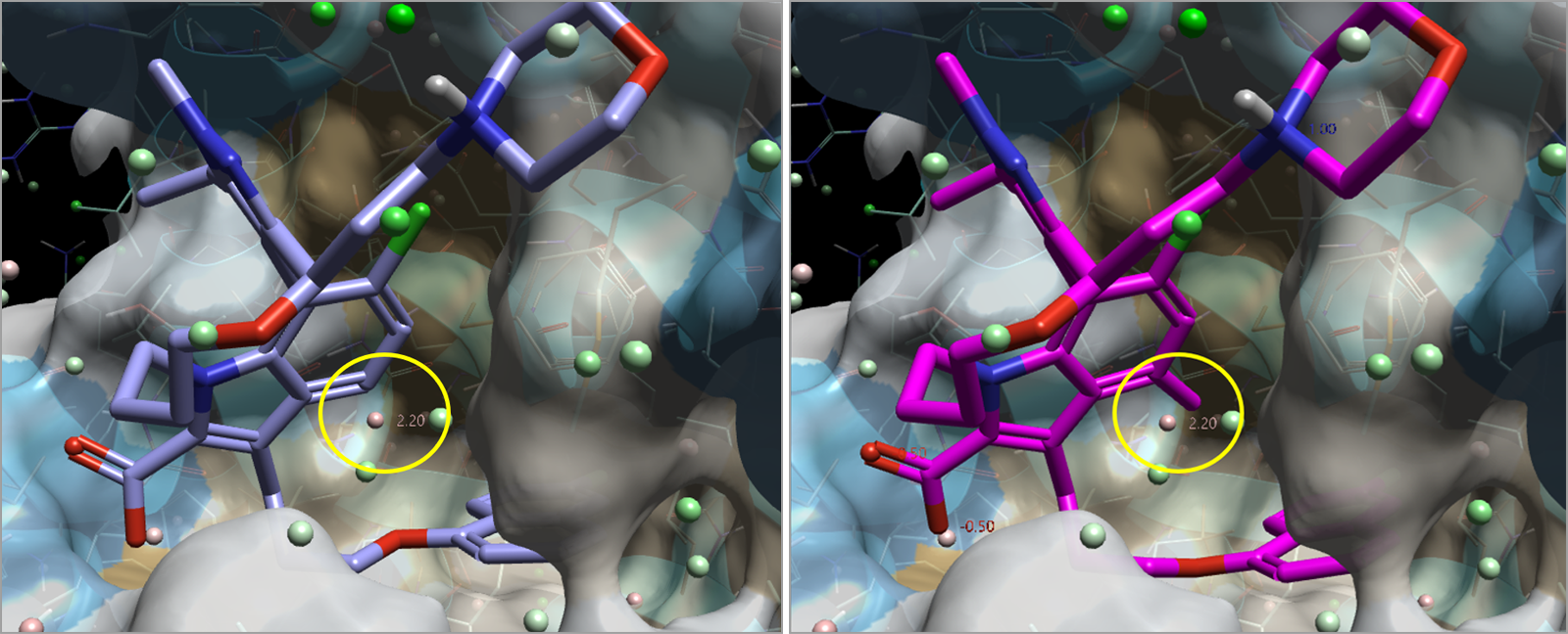 用3D-RISM对PDB 8T6F进行水分析的结果指导分子设计