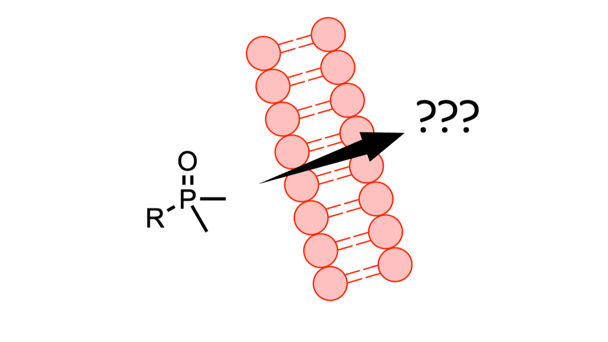 permeability of phosphine oxides