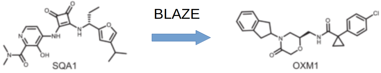 基于SQA1的BLAZE虚拟筛选