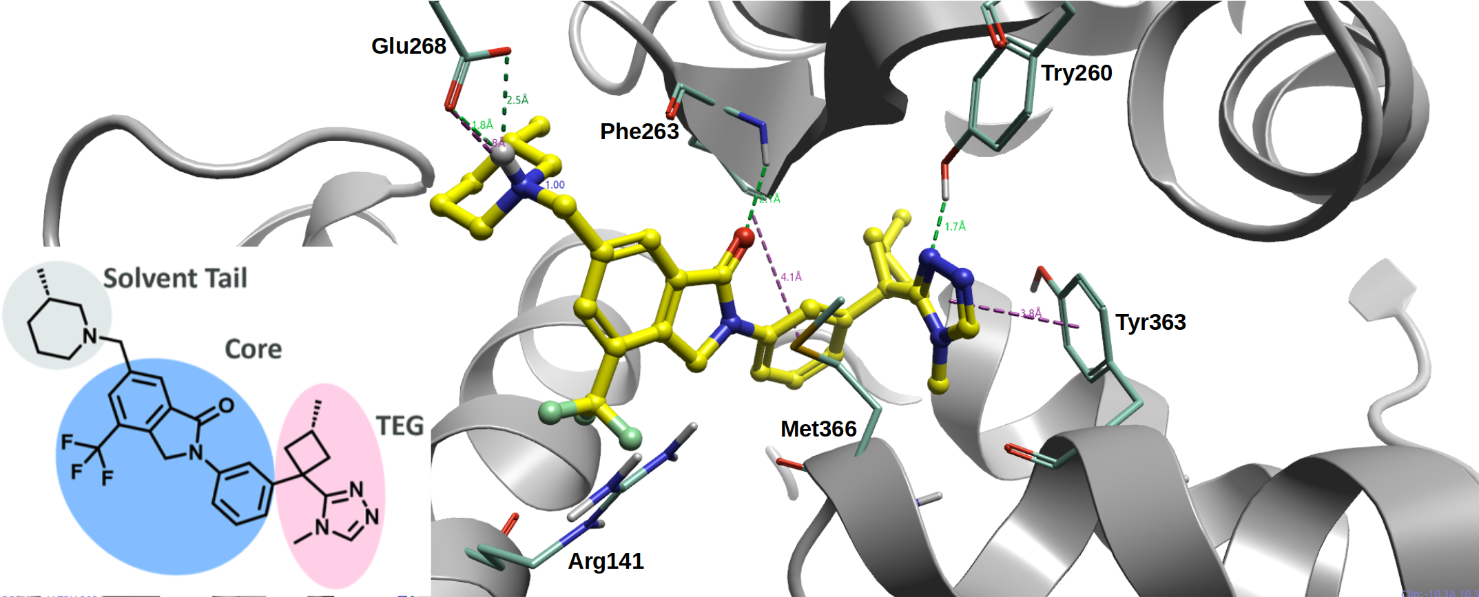 Crystal structure of NX-1607 bound to Cbl-b