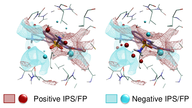 在磺酰胺基团不同取向的叠合时，蛋白质的静电分子相互作用势表面（IPS）与小分子场点（FP）