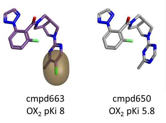 嘧啶环对位上的立体体积和疏水性（金色区域）有利于 OX2R 活性