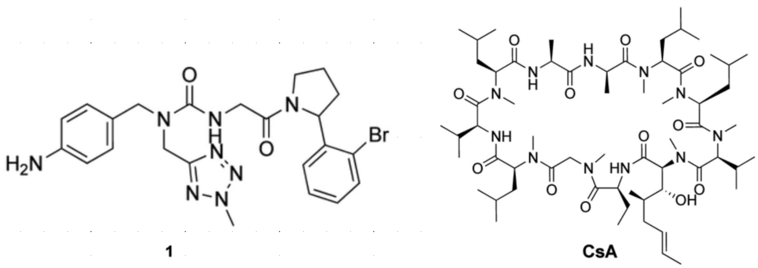 三臂亲环素抑制剂1和环孢素A（cyclosporine A ，CsA）的化学结构