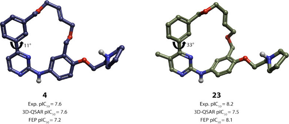 flare fep application for Macrocyclic JAK2 Inhibitor