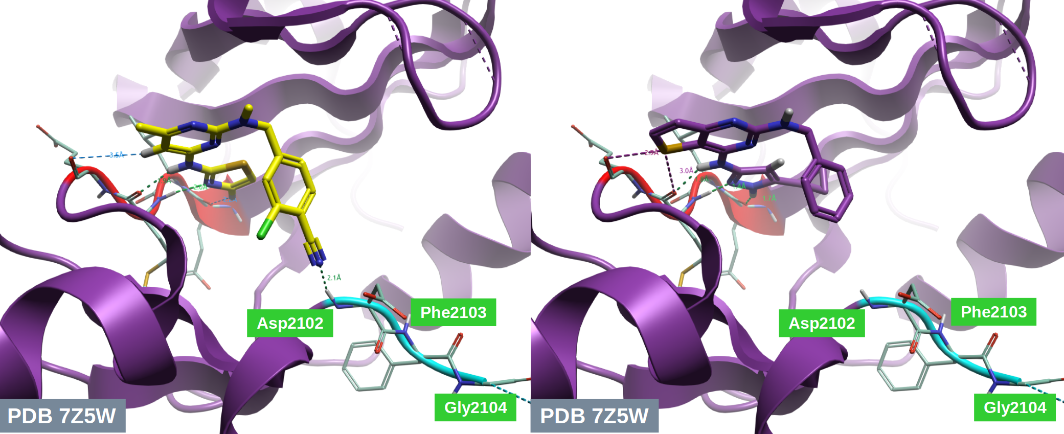 化合物31活性构象与苗头化合物CHEMBL1997924与ROS1 DFG-motif相互作用的比较