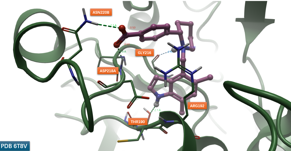 化合物35与Factor B的共晶结构PDB 6T8V