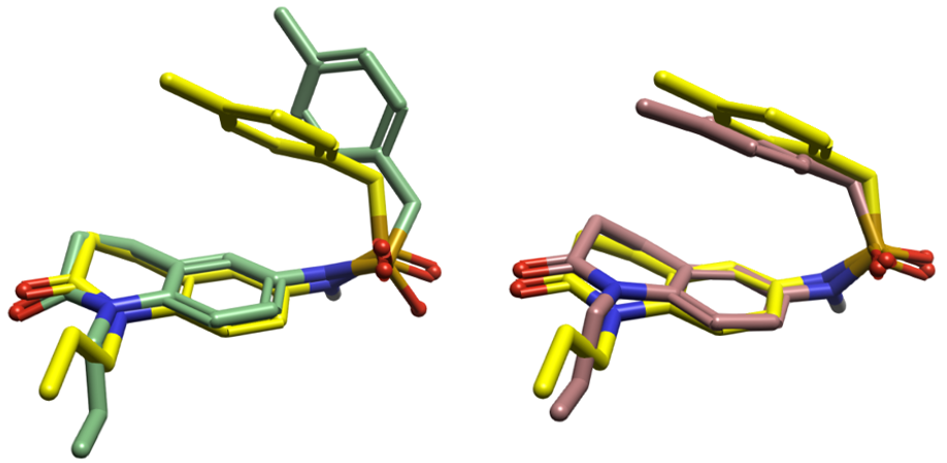 A1O生物活性构象（黄色）与Flare 生成构象的比较