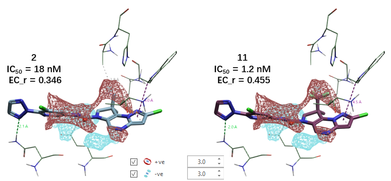 化合物 2 与 11 与 MALT1 的结合模式