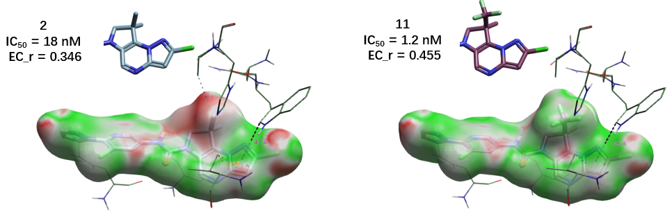 化合物 2 与 11 的静电互补性分子表面着色图