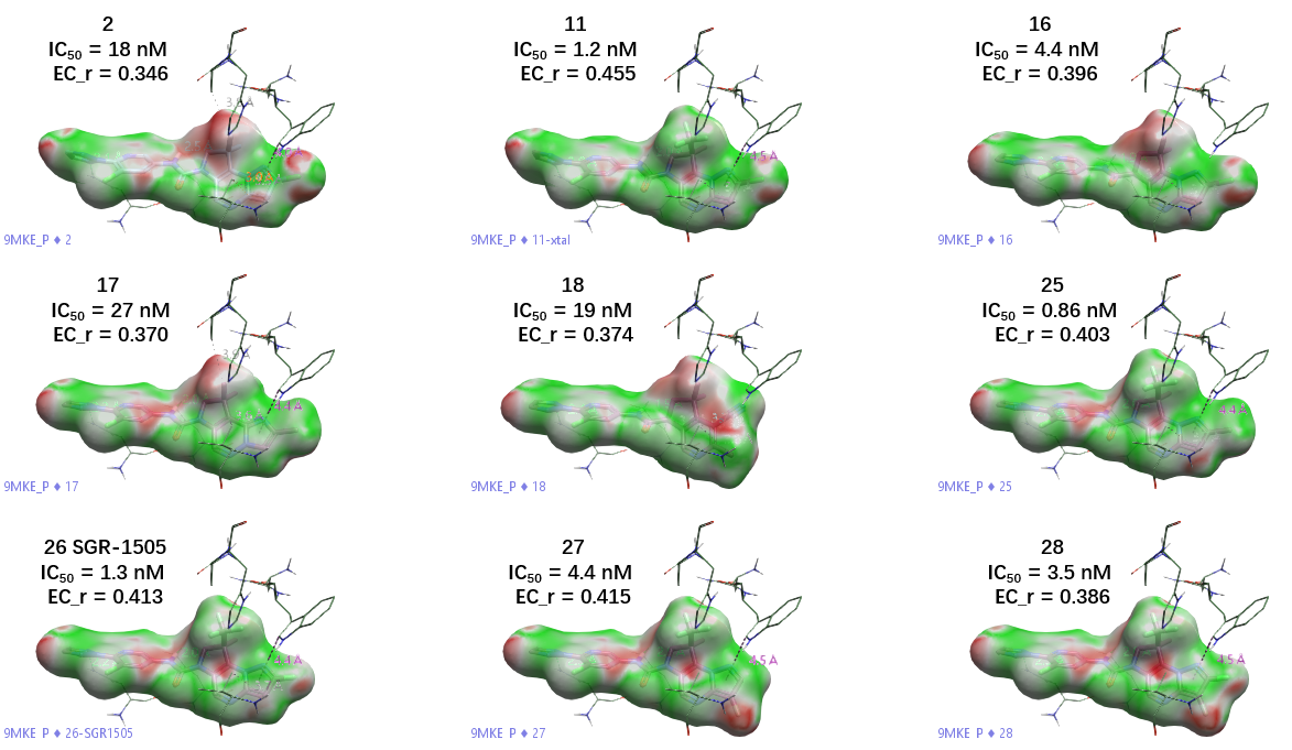 9 个 MALT1 抑制剂的静电互补性分子表面
