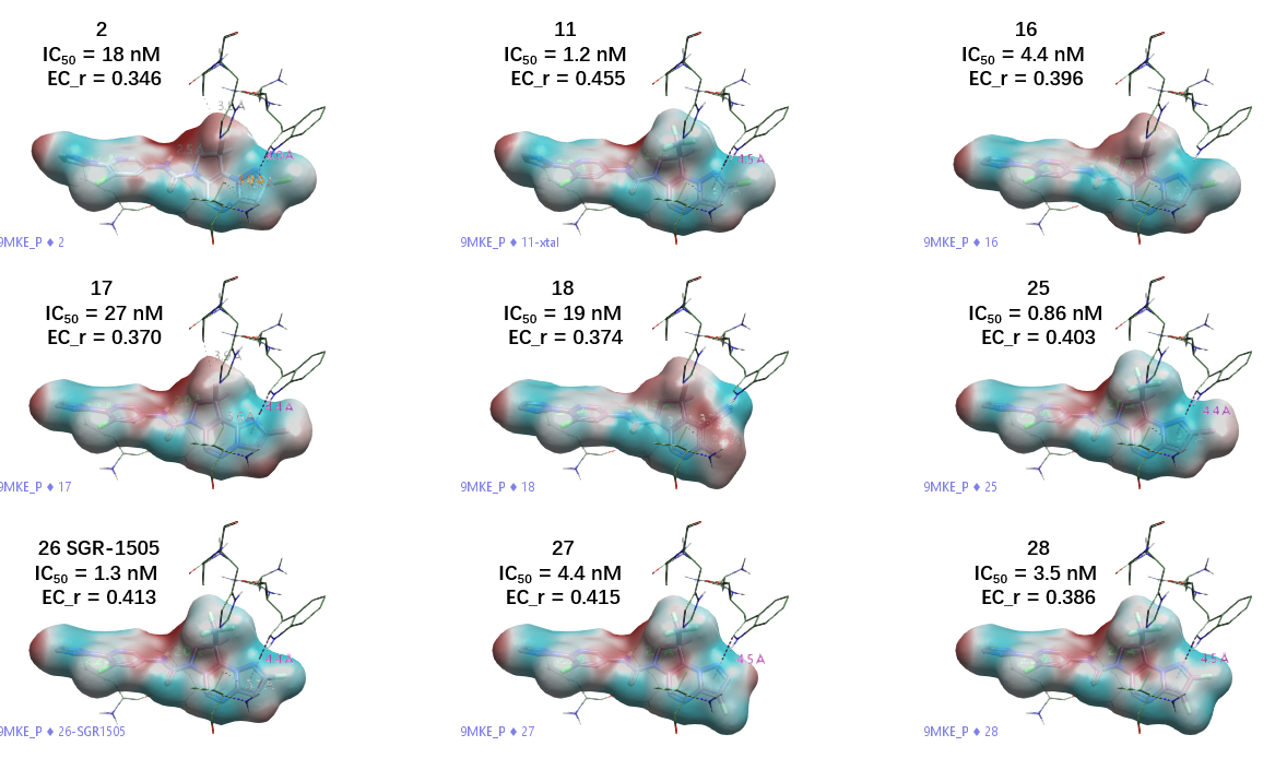 9 个 MALT1 抑制剂的静电势表面着色图