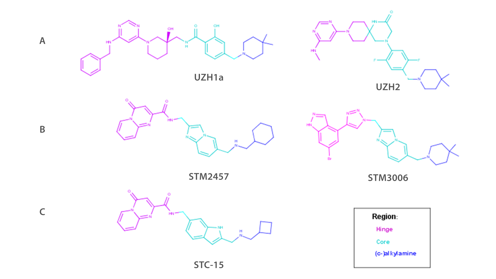一些METTL3/14抑制剂结构