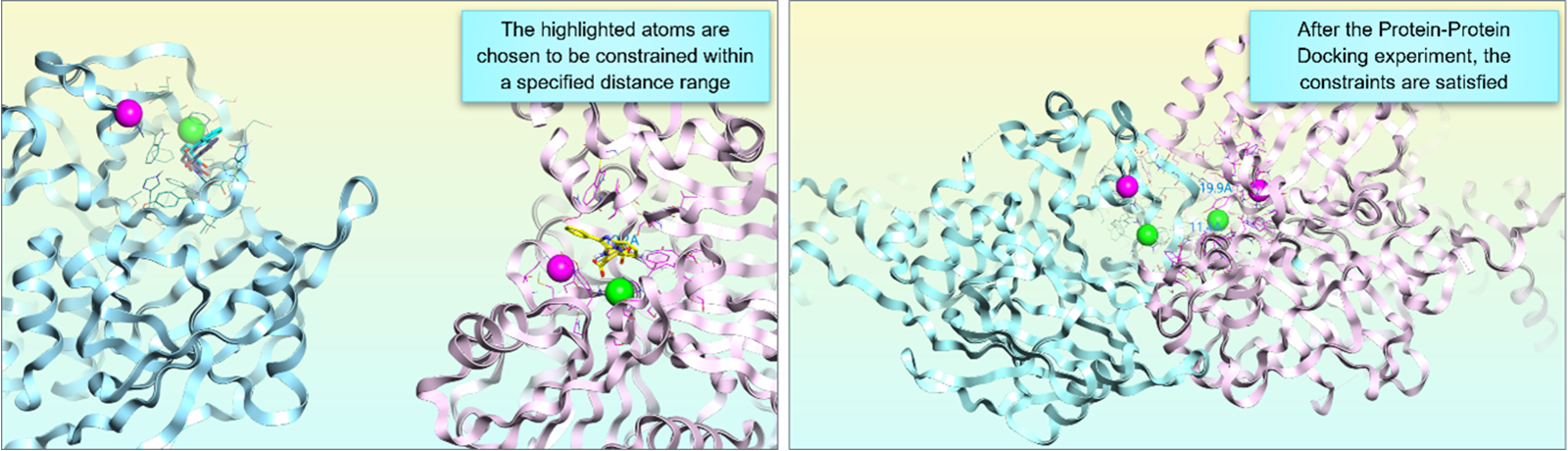在蛋白-蛋白对接实验中约束的参数设置