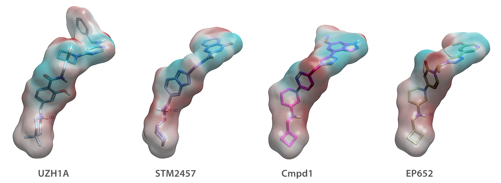 UZH1A、STM2457、Compd1、EP652在METTL3/14中的共晶结合模式叠合图