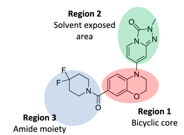 化合物1及其优化策略