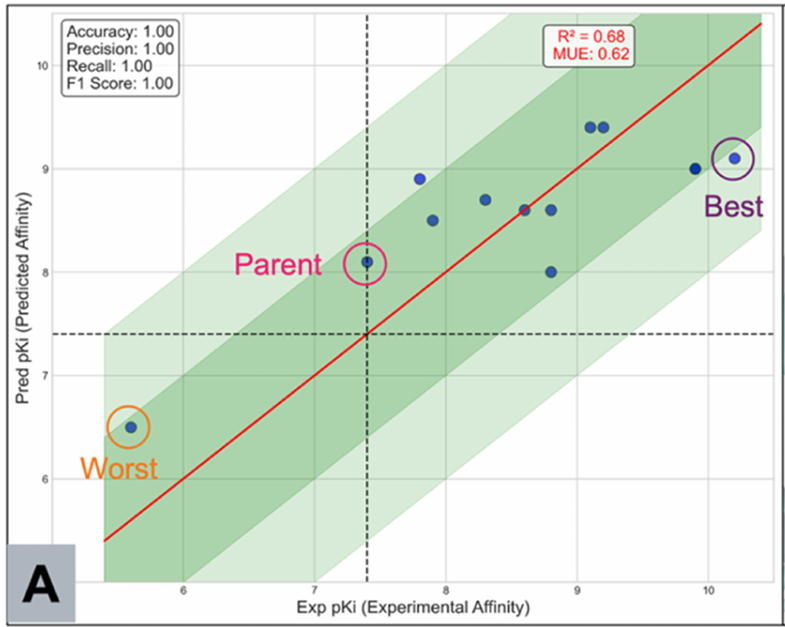 FEP + 对 12 个衍生物的预测性能研究