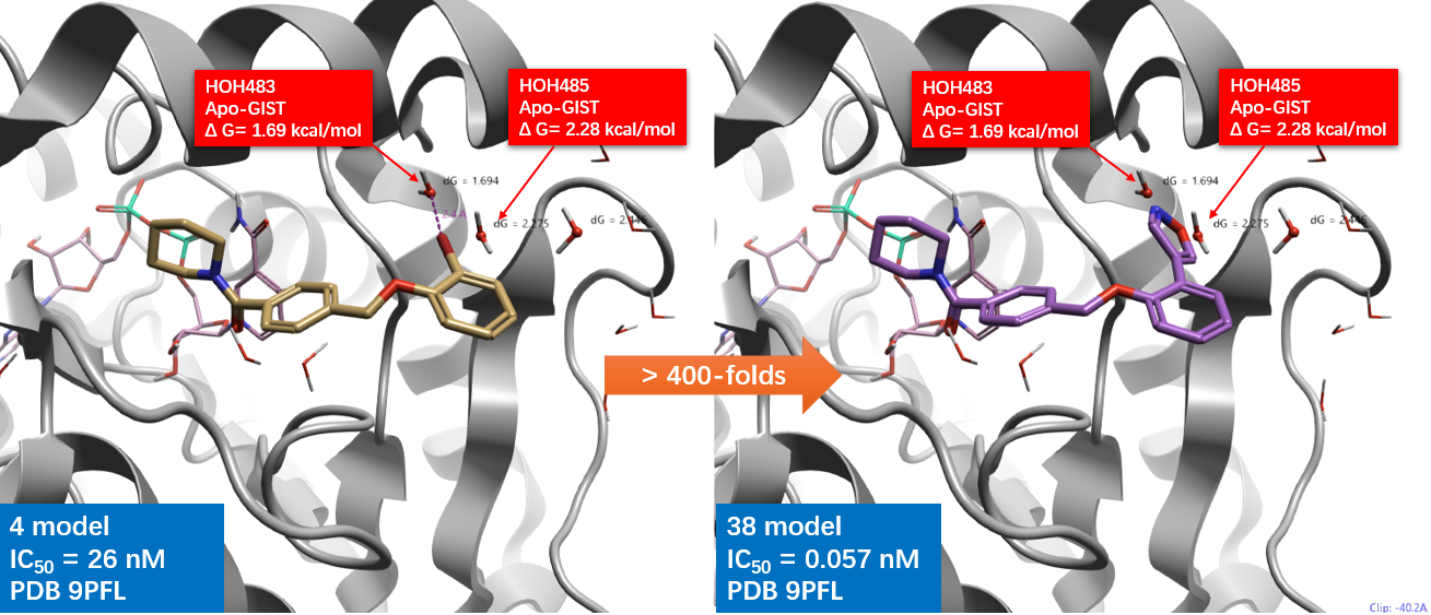 化合物4与38的对接结合模式及其水分子置换
