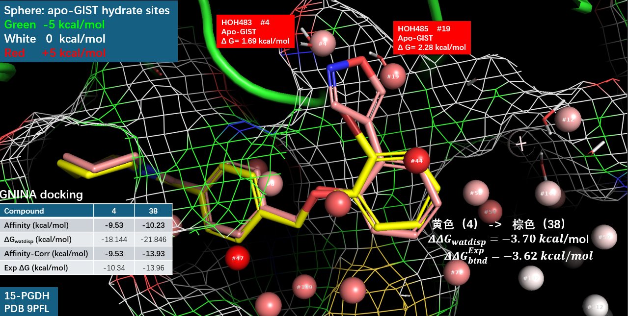 15-PGDH抑制剂38对高能水的替换提高了活性400多倍