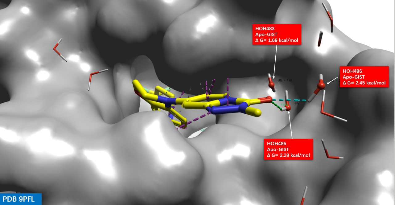 化合物1共晶结构PDB 9PFL结合口袋的3个关键水