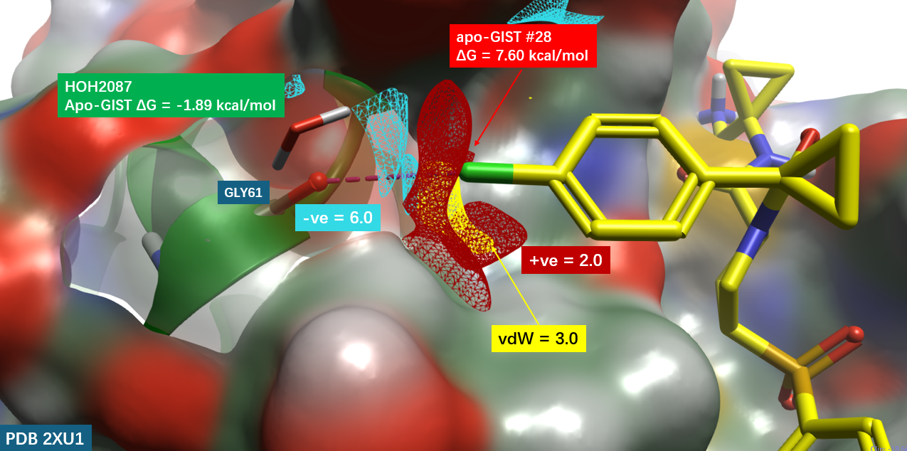 hCatL 结合口袋GLY61处蛋白相互作用势（PIP）分析