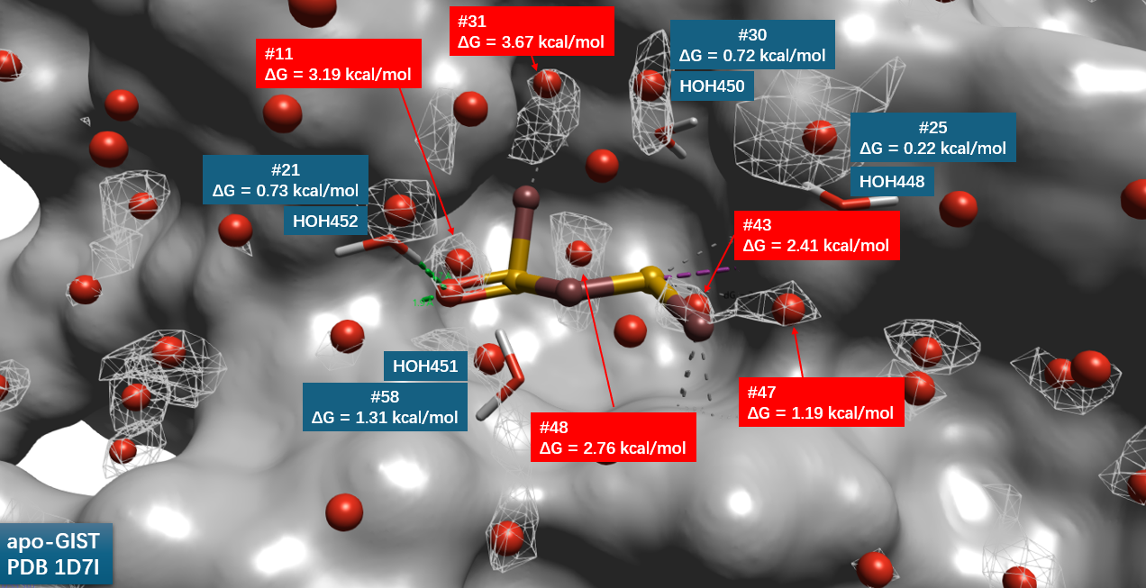 PDB 1D7I的apo-GIST水合位点及其置换自由能