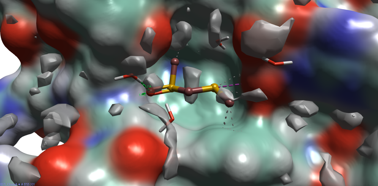 PDB 1D7I的apo-GIST的水密度