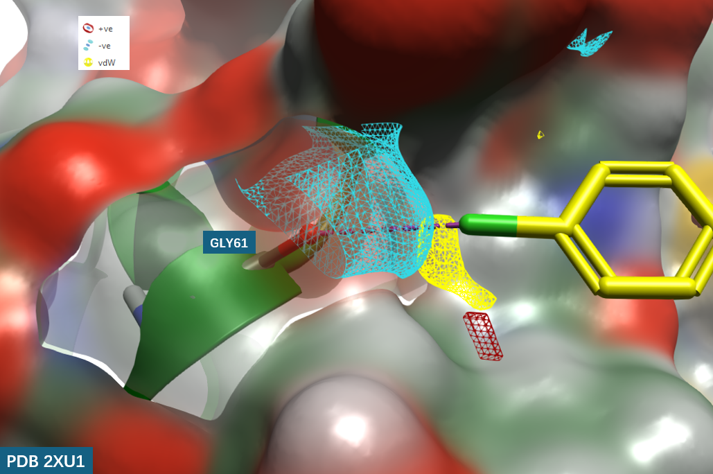 hCatL 结合口袋GLY61处蛋白相互作用势(PIP)分析