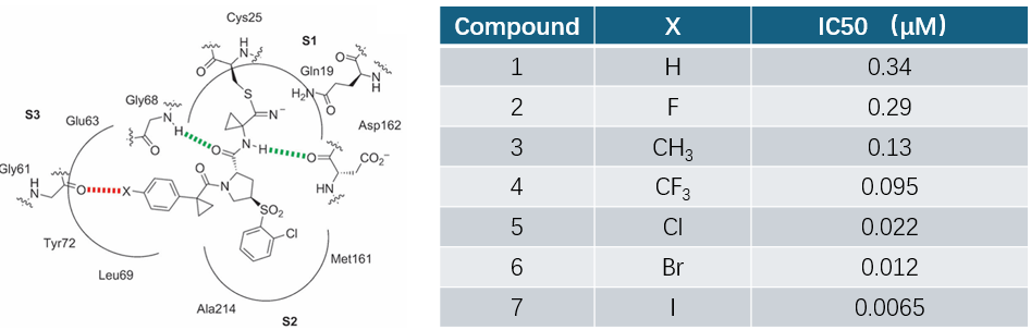 人组织蛋白酶L（hCatL）抑制剂的SAR