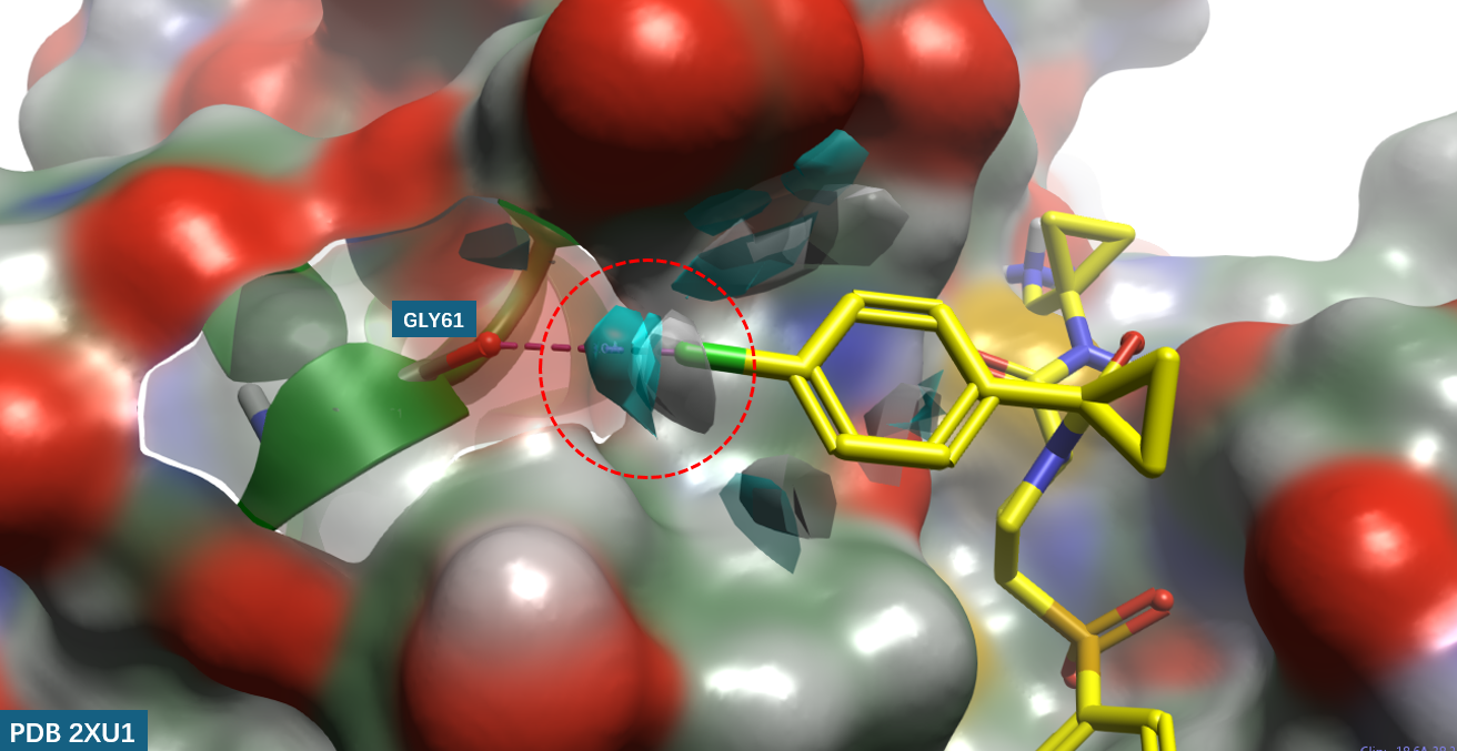 hCatL 结合口袋GLY61处的apo-GIST分析结果