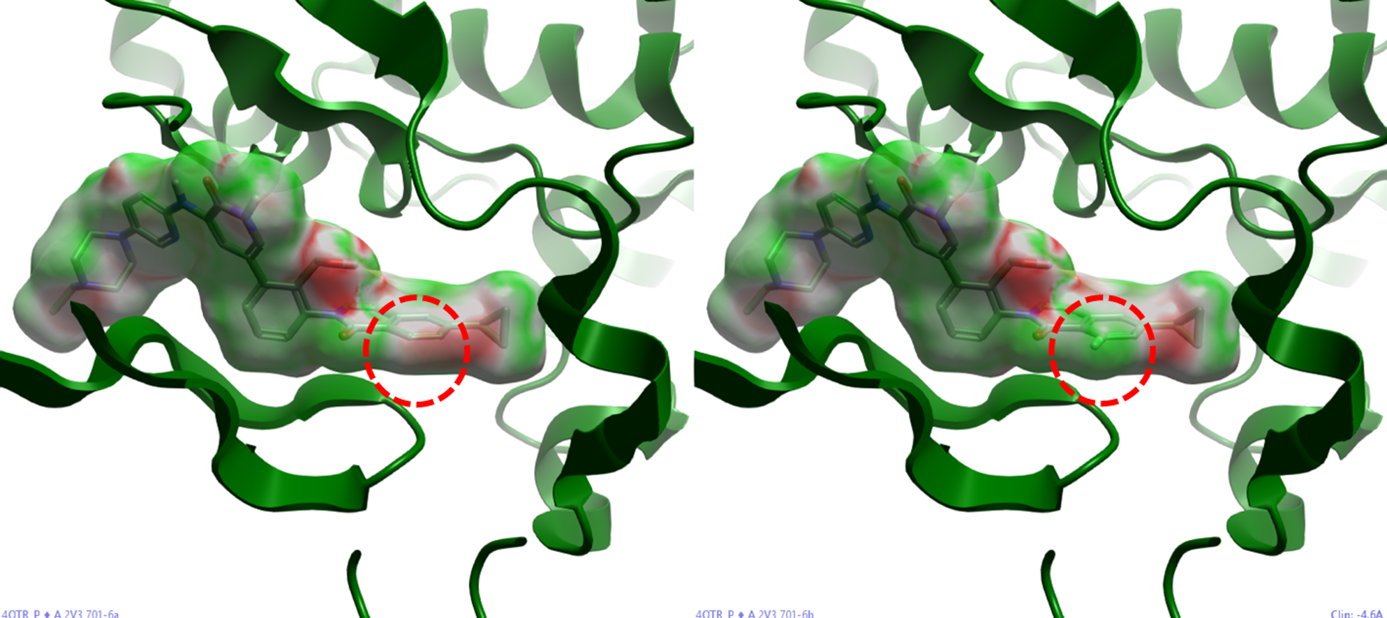 化合物6a与6b的静电互补性分子表面