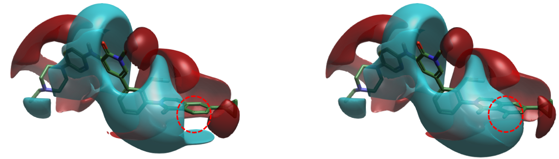 BTK抑制剂6a与6b的配体场