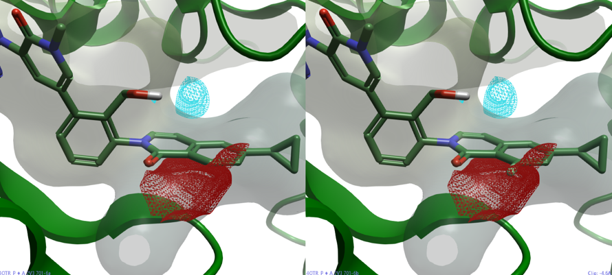 BTK（PDB 4OTR）的蛋白场