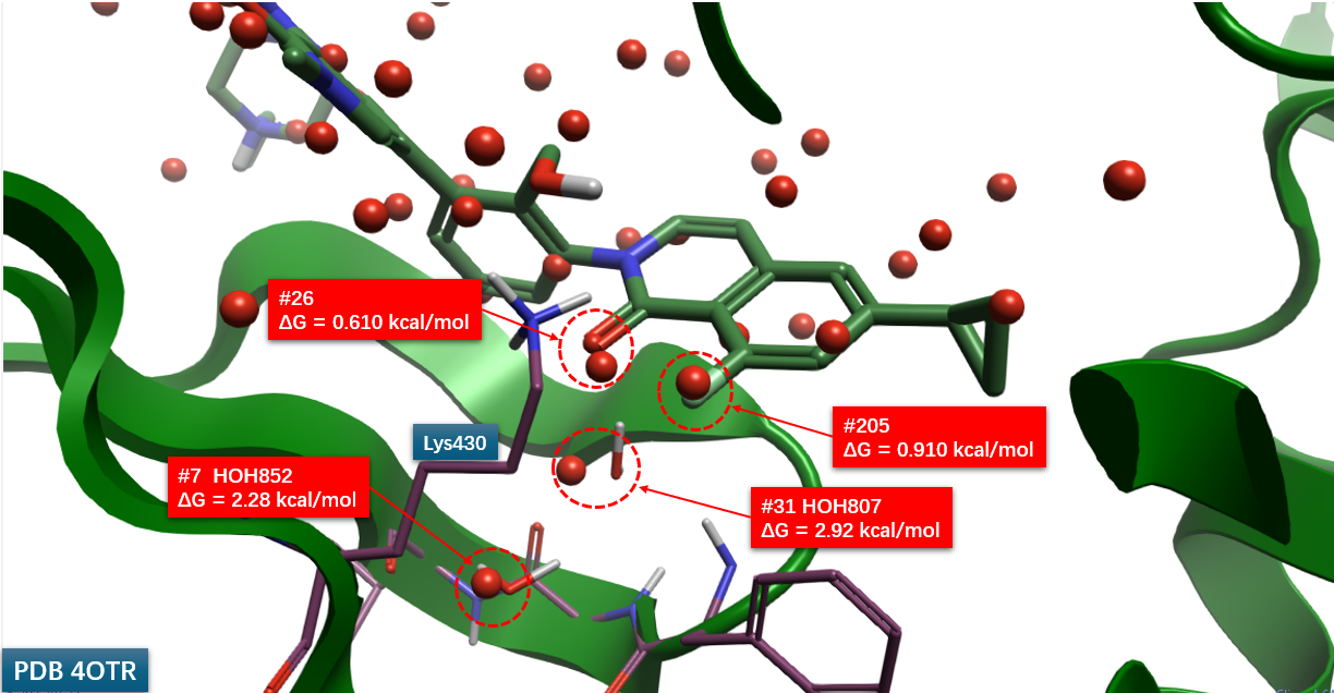 化合物6b与BTK共晶结构PDB 4OTR的apo-GIST水合位点