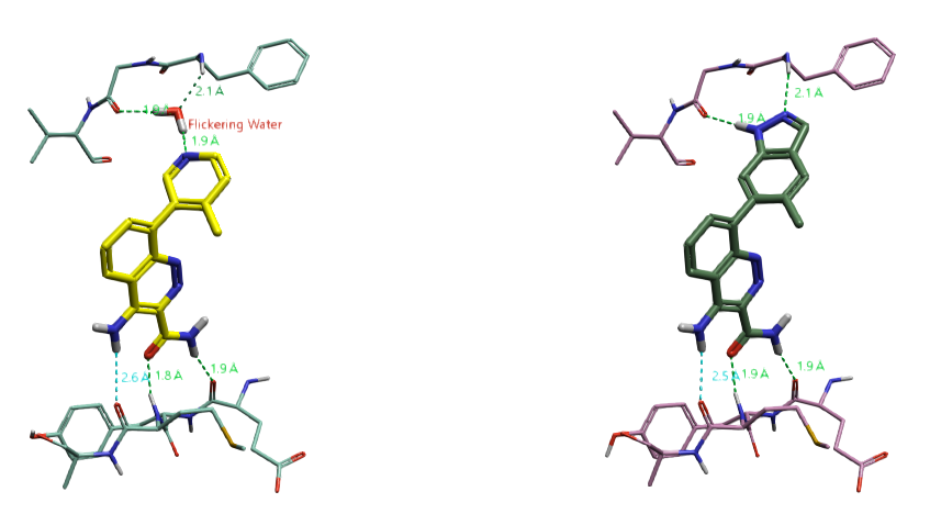 BTK抑制剂共晶结构PDB 4ZLZ与4Z3V