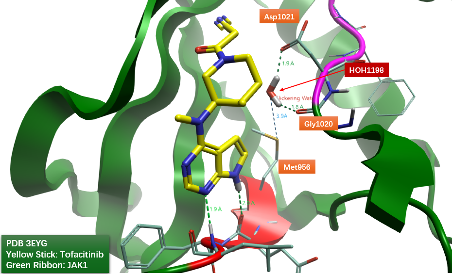 JAK1抑制剂Tofacitinib共晶结构PDB 3EYG