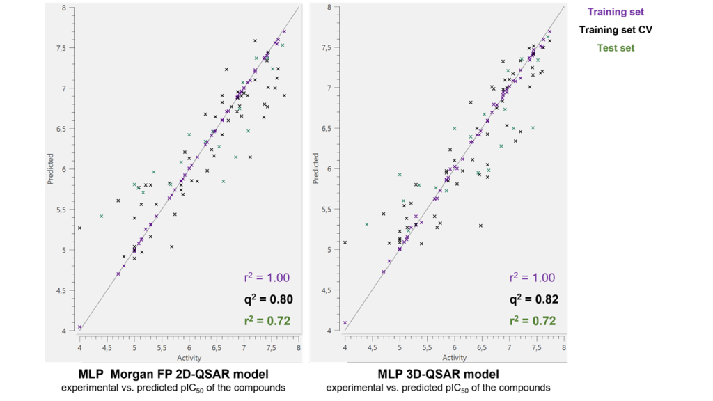 MLP Morgan FP 2D-QSAR(左)和3D-QSAR(右)模型