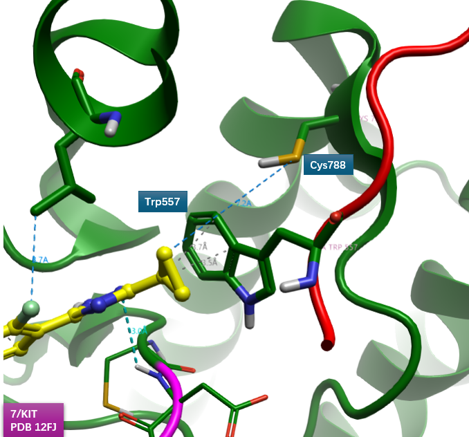 KIT（PDB 12FJ）的口袋深处 Cys788与化合物7