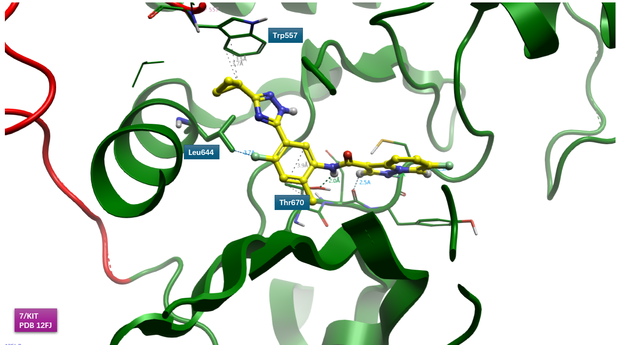 PDB 12FJ Leu644