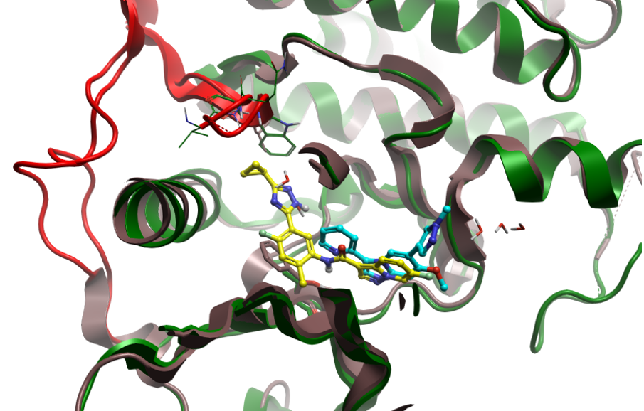 Superimposition of the kinase domains of KIT and FLT3